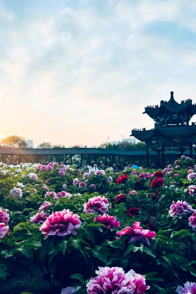 Du lịch Hà Trạch.