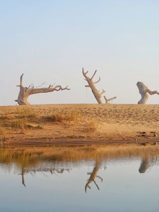 Don't stay at home on weekends, travel to the desert and see the sea. 