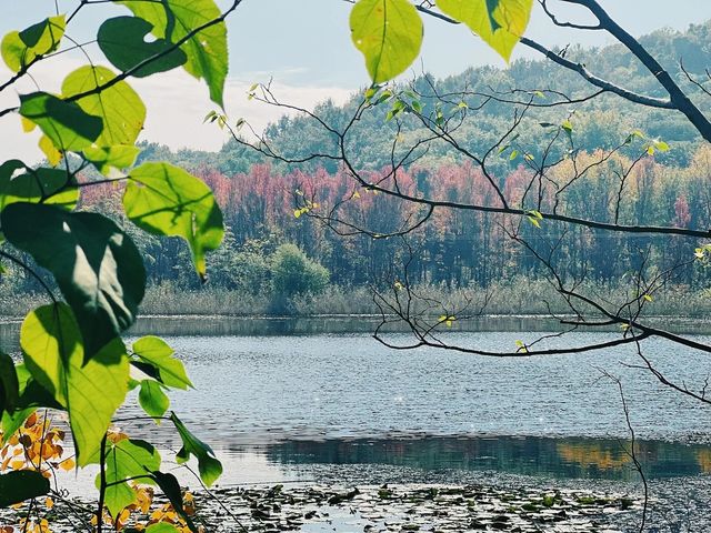 南京出發｜每週自駕玩一地兒——石牆圍村。