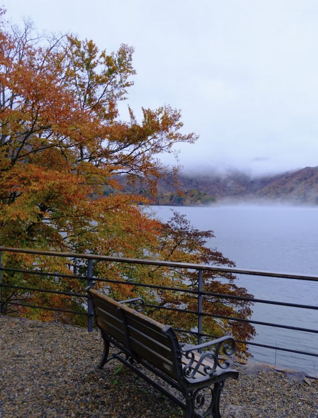 日光紅葉｜一場雨，便進入了秋色的仙境。