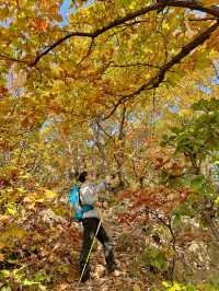 秦嶺賞秋｜別去圭峰山，來這裡吧。