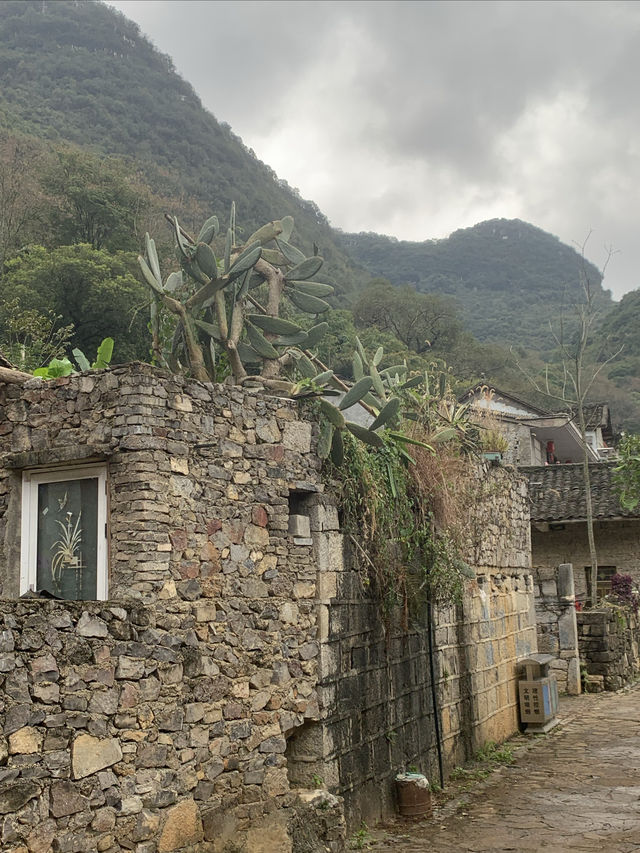 爸爸去哪兒一雨補魯天坑。