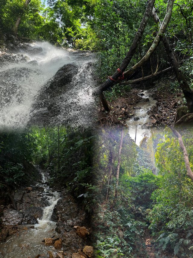 雨林行山是一種怎樣的體驗。