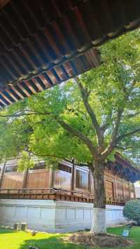 虔誠一日遊。
