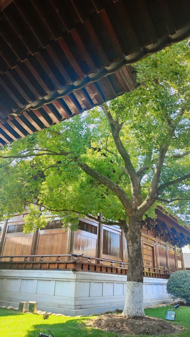 虔誠一日遊。