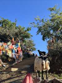 11月的瀘沽湖美如仙境，我想住在這裡不回家了