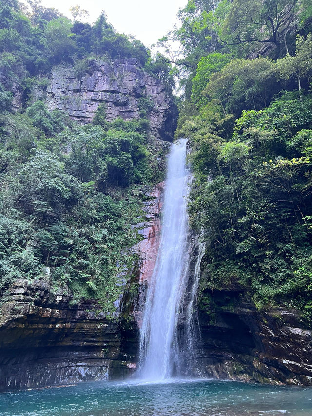 桂平龍潭國家森林公園｜自然奇觀與生態寶庫