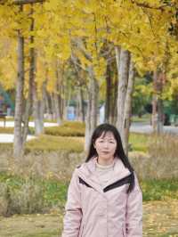 四川綿陽｜富樂山公園，不要低估這座小城的美