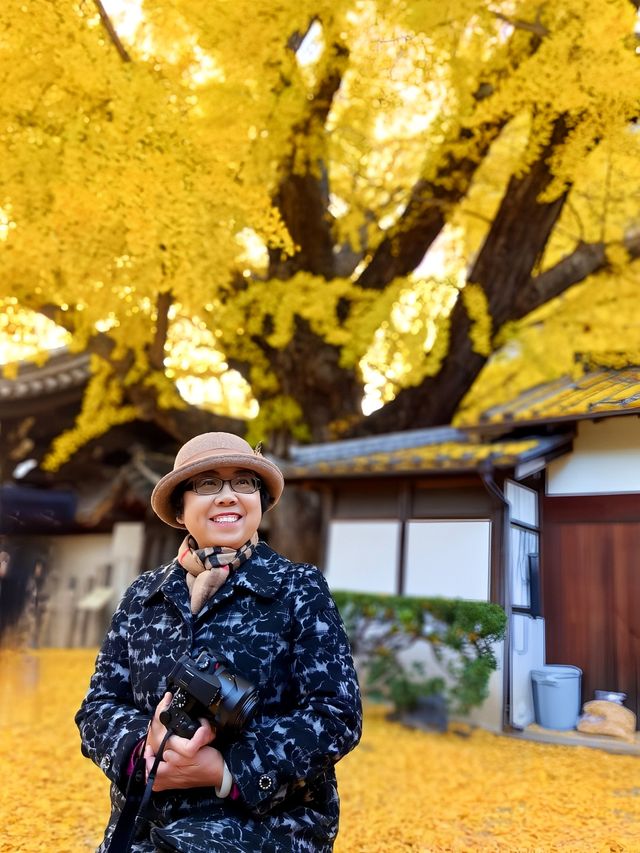 大阪難宗寺銀杏