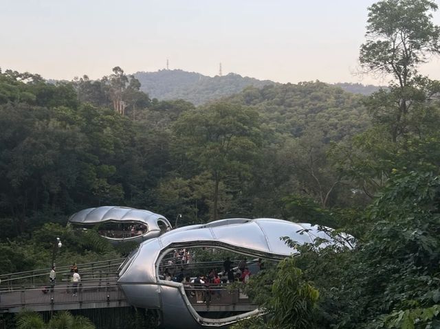 廣州白雲｜雲蘿植物園