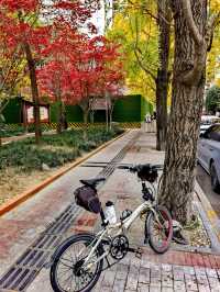 陰天無濾鏡直出，Cityride 從錦繡街到錦江邊