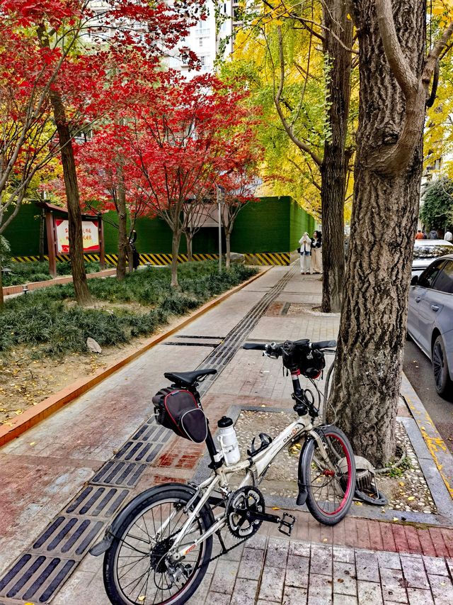 陰天無濾鏡直出，Cityride 從錦繡街到錦江邊