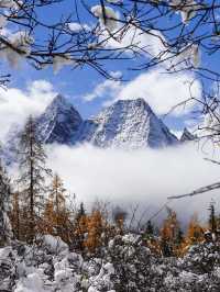 茂縣冬日遊4天行程 雪景美翻了