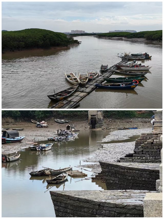 粵閩跟團遊丨泉州洛陽橋