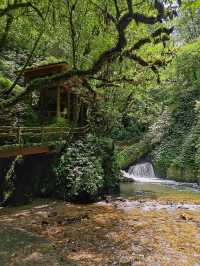 秘境哀牢山