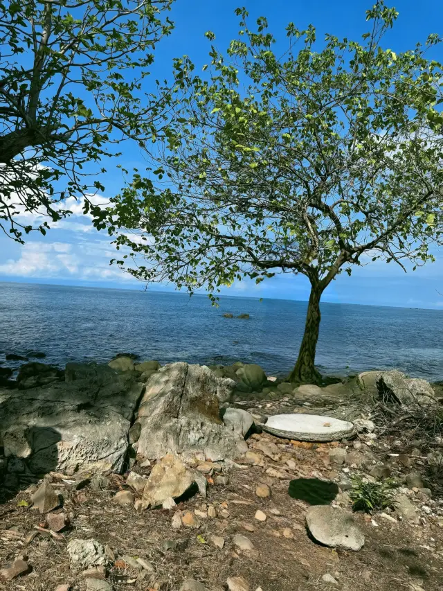 코타키나발루 초특급 여행 공략, 어서 저장하세요.