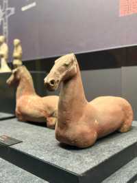 保定博物館，遊玩指南！！