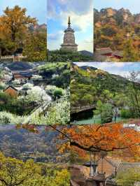 千萬不要去千山旅遊五星級旅遊景點值得打卡