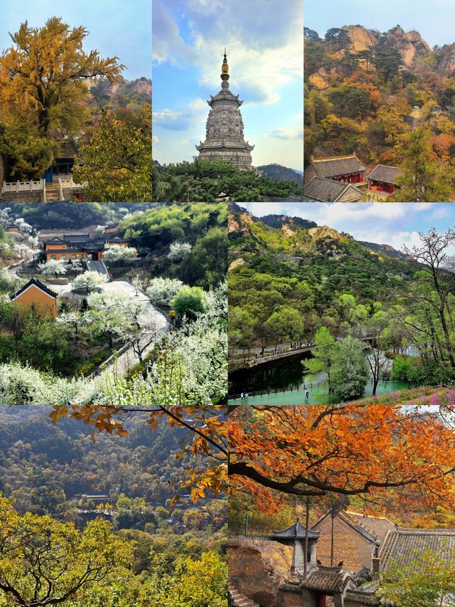 千萬不要去千山旅遊五星級旅遊景點值得打卡