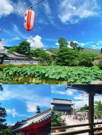 長野秘境漫遊記：解鎖日本山水間的詩意棲居