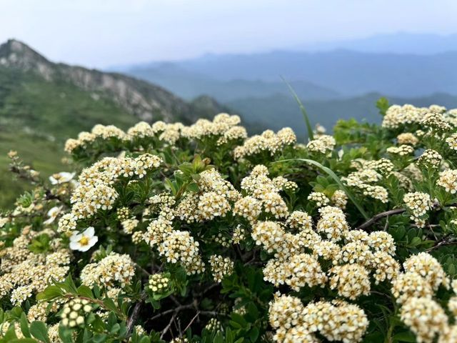 "終南陰嶺秀，積雪浮雲端"終南山旅遊攻略