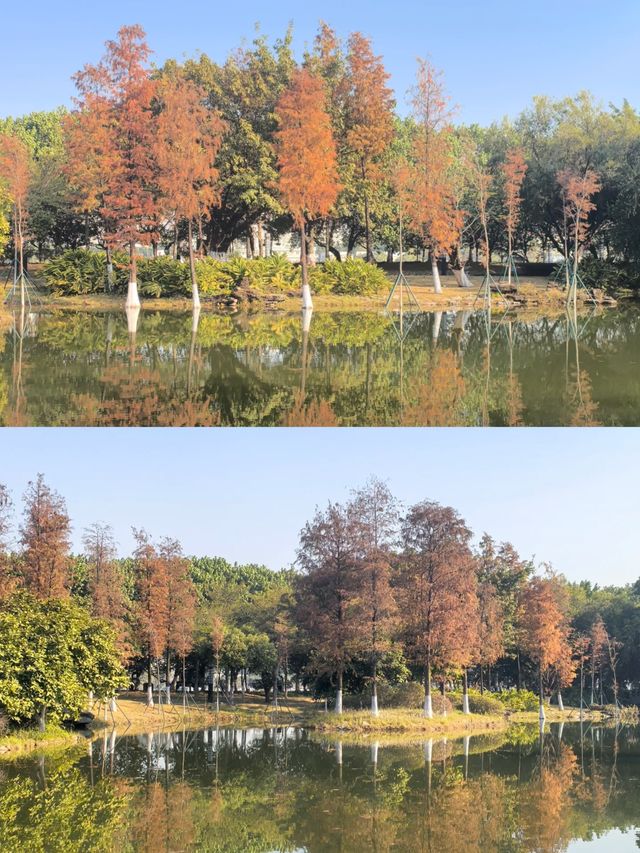 水墨園變成了「水鏡園」，景色太美啦!