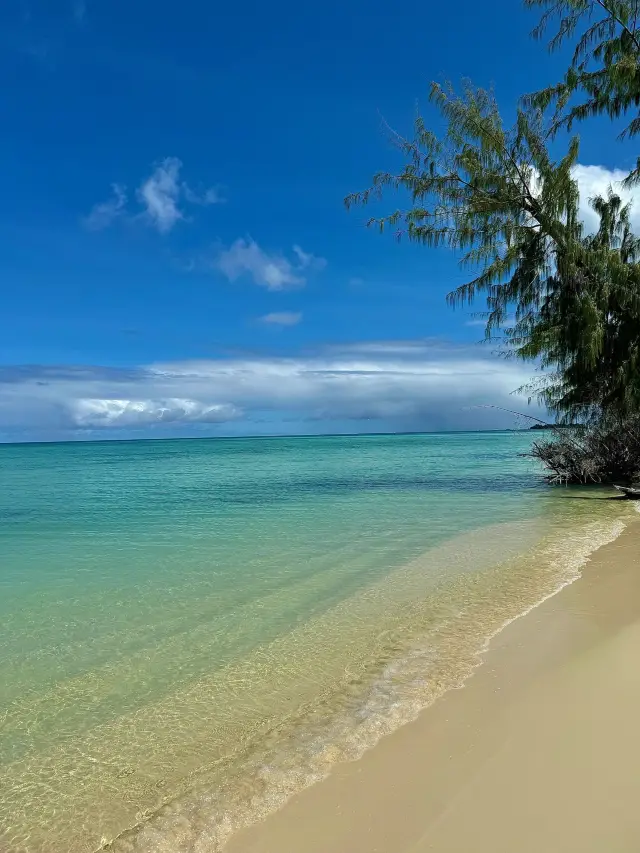 5-Day US Itinerary for the New Year