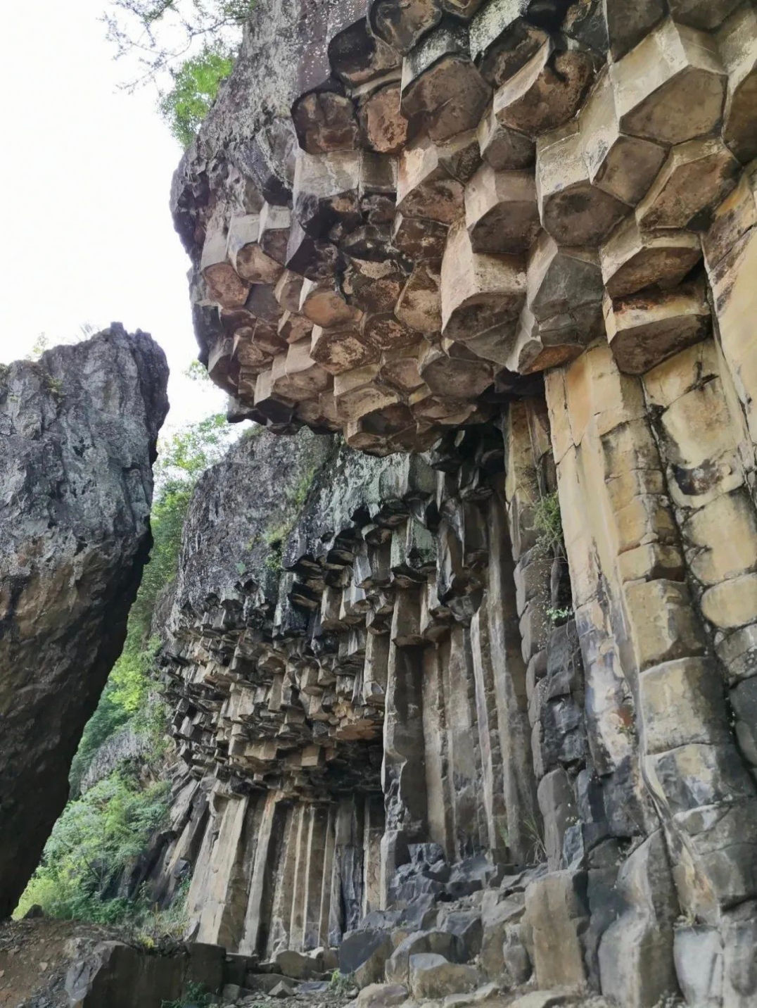 義疏學衰亡史論　喬秀岩 喬秀岩：義疏學衰亡史論｜「古典與文明」叢書第一種- 每日頭條