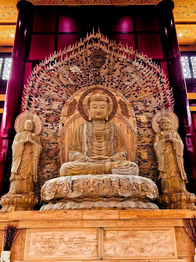 青白江區    城廂壽佛寺