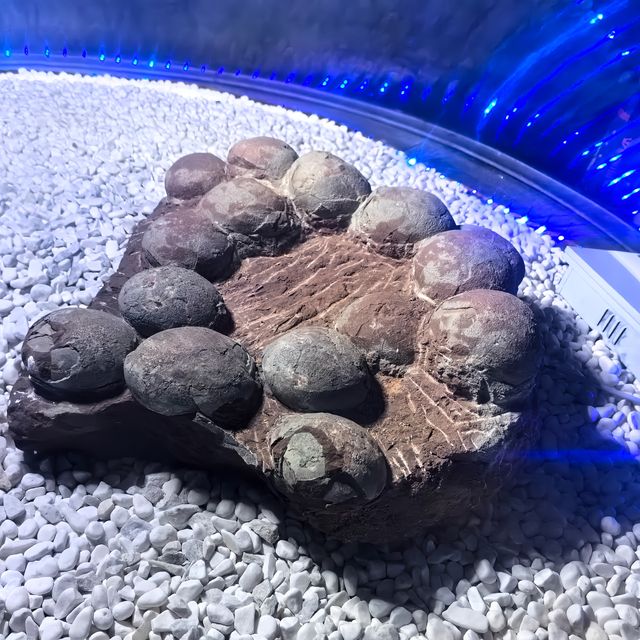 恐龍之鄉，塞北明珠