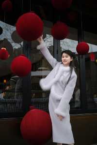 又是一年新年到·鐵像寺燈會集市