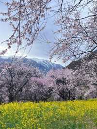 昌都來古冰川等地滑雪攻略 不踩坑