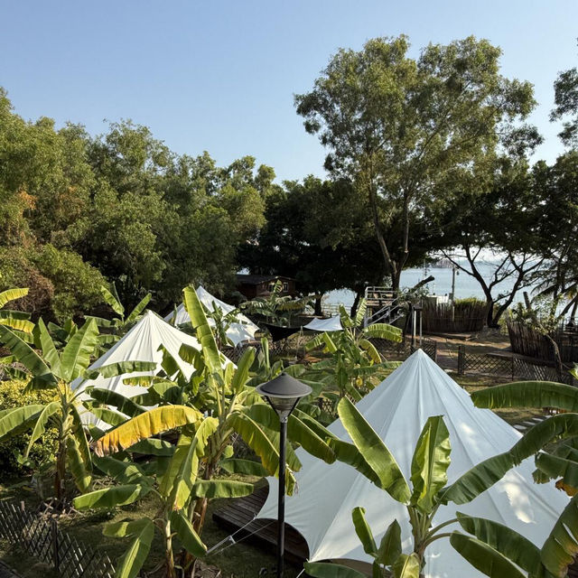 🌴不是版纳，深圳竟藏著這般熱帶雨林度假民宿！