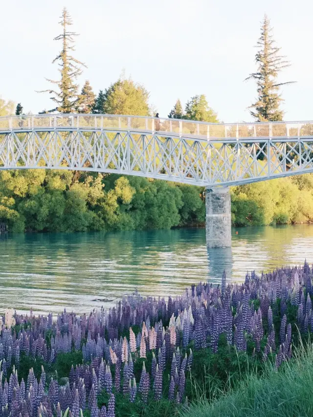 8-Day New Zealand Trip: A Journey to the End of the World