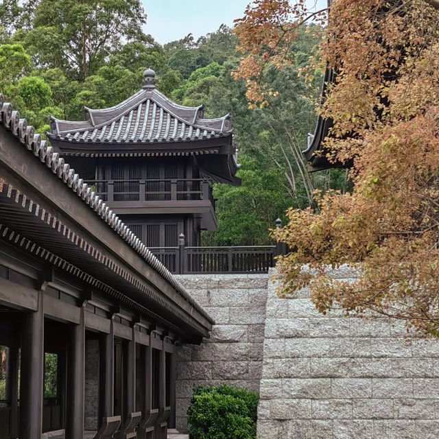 小眾浪漫 | 新界大埔慈山寺 感受心靈寧靜