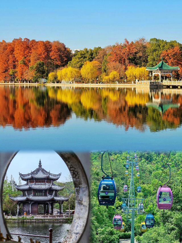 假日碎片之東湖遊，一個治癒的地方！