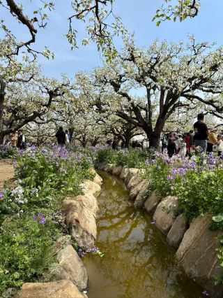 Weekend trip to Dangshan with kids! Discover beautiful scenery and delicious food