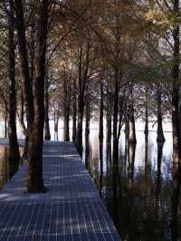 恩施3日遊 帶娃出遊全攻略必收藏