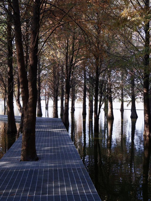 恩施3日遊 帶娃出遊全攻略必收藏