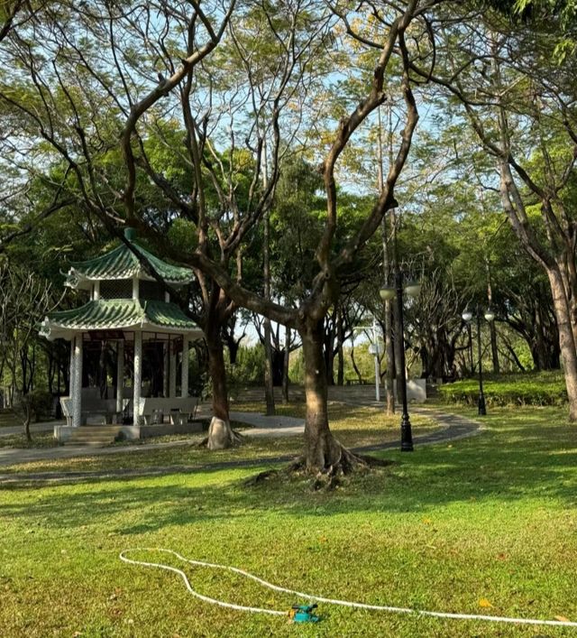 我認為這才是深圳必去榜啊！