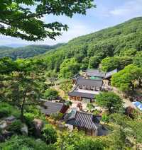 韓國論山市法池寺：沉浸在禪意與自然的寧靜中 