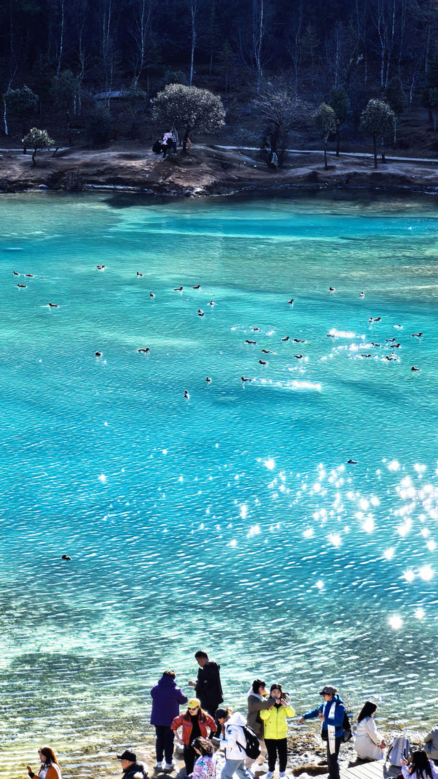 浪漫而神秘的雲杉坪