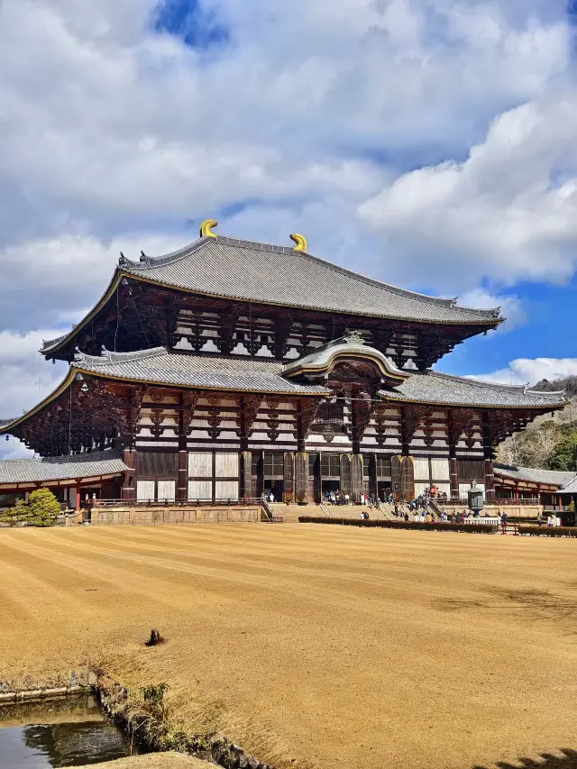 8-Day Japan Family Trip: A Super Detailed Guide