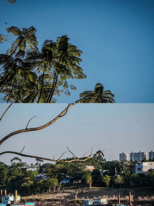 探索廣西貴港大東碼頭：繁忙背後的故事