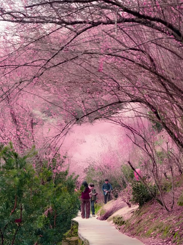 原來陶淵明筆下的《桃花源記》是真實存在的！！