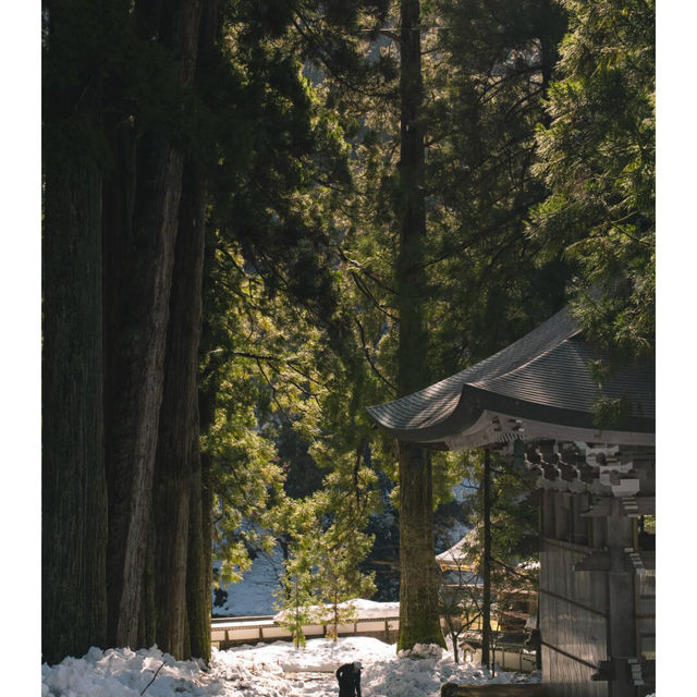 🇯🇵福井旅行｜超脱塵世永平寺