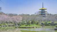 武漢旅遊，推薦拍照打卡好去處～附攻略