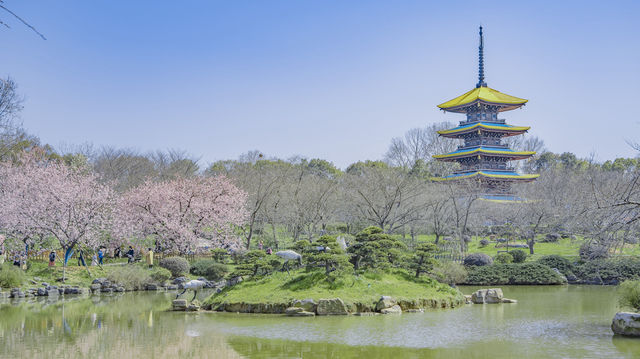 武漢旅遊，推薦拍照打卡好去處～附攻略