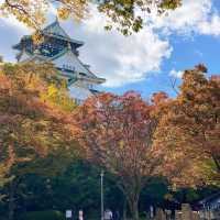 🇯🇵大阪城公園 天守閣 五彩秋葉與綿延山脈