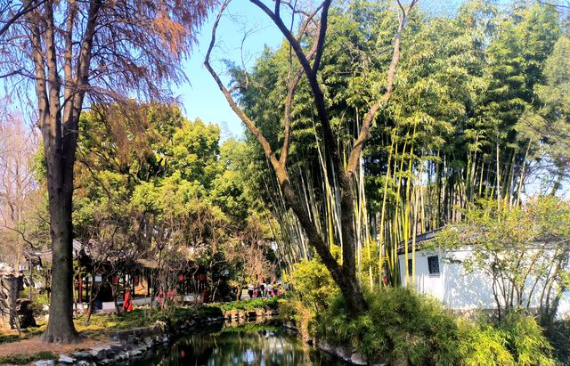 江南古典園林典範｜古猗園半日遊